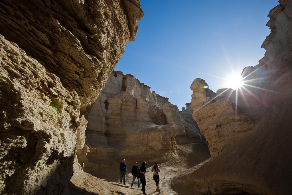 Belfer'S Dead Sea Cabins Neot HaKikar Ngoại thất bức ảnh